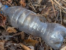 Leere PET-Flasche auf Laub