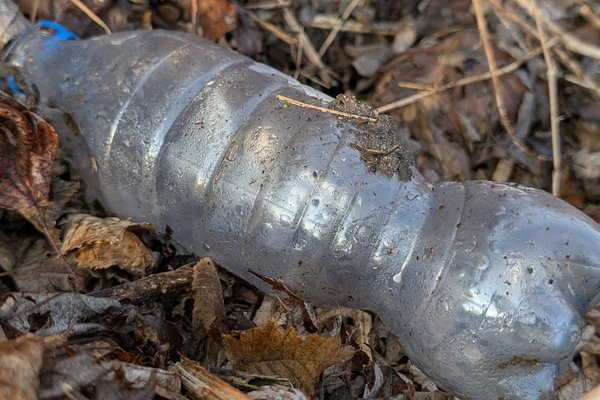 Leere PET-Flasche auf Laub