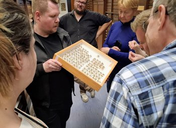 Besucher*innen betrachten Exponate